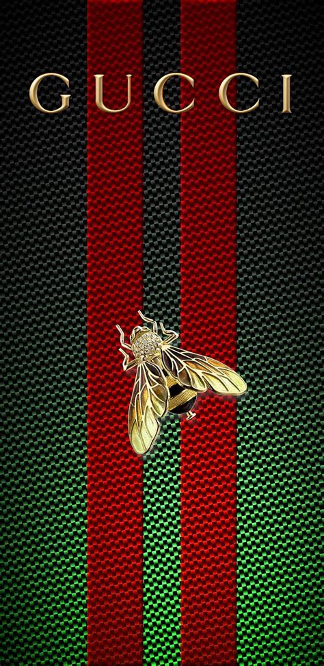 best gucci wallpaper|high resolution gucci wallpaper.